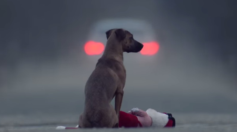 Abbandoneresti tuo figlio? Video contro l’abbandono dei cani