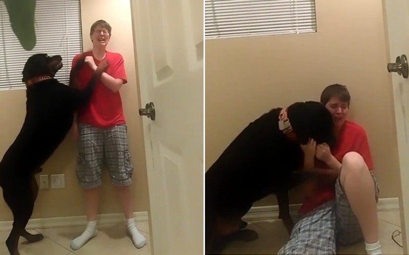 Una donna vuole farsi del male ma il suo cane lo impedisce