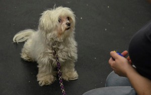 8-8547841752_72aa7de08a_z