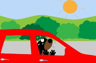 Colpo di calore nel cane: come accorgersene e prevenirlo