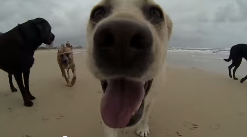 Happy: una bellissima giornata al mare!