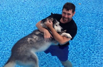 La commovente storia dell’husky Kane