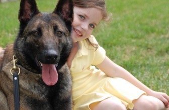 Regole importanti sui cani da dare ai bambini