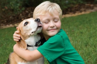 8 cose stupide che i bambini fanno con i cani