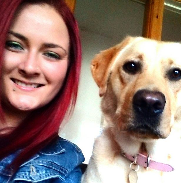 Il Labrador che previene la sua padrona di un attacco epilettico