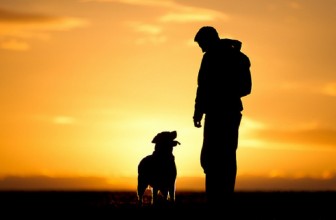 3 modi per farti amare dal tuo cane