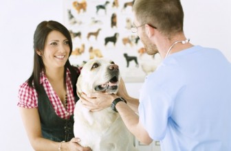5 modi per risparmiare sulle spese veterinarie