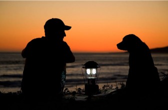 È solo un cane…