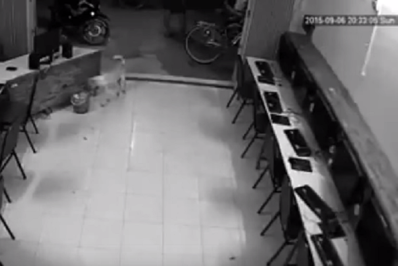 Tenta di dare un calcio a un cane, ma gli finisce male…