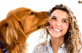 Il Cane mi Lecca in Faccia: Perché? I “Baci” dei Cani… agli Umani