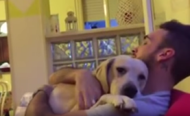 Parliamo di Ettore, il cane che chiede scusa