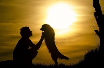 Come essere un vero leader per il tuo cane