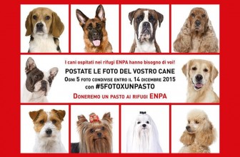 #5FotoXunPasto: l’hashtag Instagram per donare cibo ai cani