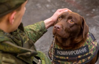Dalla Russia in arrivo i Giubbotti Antiproiettile per Cani