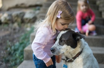 USA: vivere con un Cane aiuta i Bambini a essere meno Ansiosi