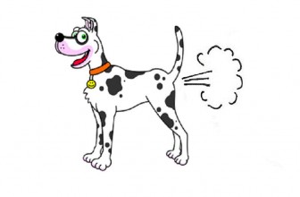 La flatulenza nel cane: cause e rimedi