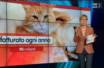 A proposito della puntata su Report sui mangimi industriali
