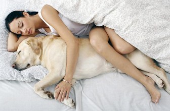Dormire o non dormire con il cane? 3 motivi per farlo