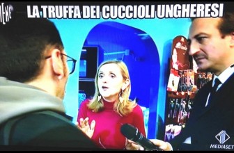 La truffa dei cuccioli ungheresi – Il servizio denuncia delle Iene