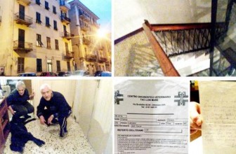 Cesare, il cane che secondo i giornali non può entrare in ascensore