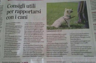 Articolo scandaloso sui cani – La Provincia di Como