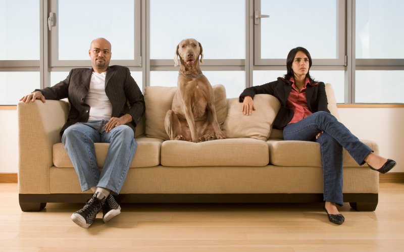 A chi va il cane in caso di separazione o divorzio?