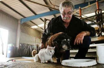 Addio a Maggie, il cane più vecchio del mondo: aveva 30 anni