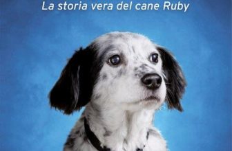 “Avevo solo una manciata di stelle” – Un libro emozionante