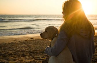 Un cane ti cambia la vita