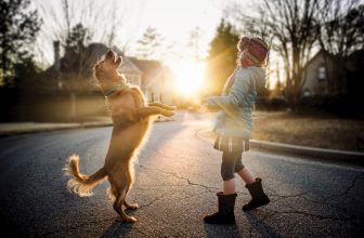 20 cose che un cane può insegnarci