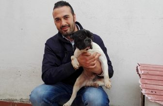 Pato a Casa dopo 3 anni: sparito ad Arezzo, trovato a Napoli