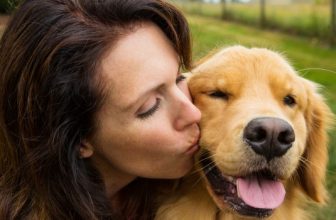 Il tono di voce da usare con il cane