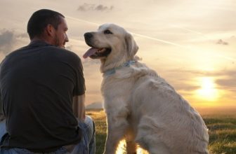 Prendere un cane maschio o una femmina?