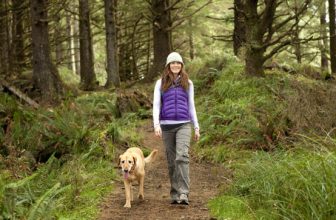 Passeggiate in montagna con il cane: Il kit di prima necessità