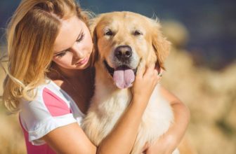 Si può abbracciare un cane? A volte si