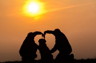 Studio: gli effetti di avere un Cane sulla vita sociale