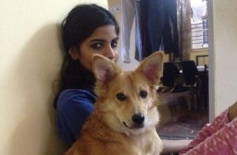 Lo sposo: “Scegli, o me o il cane…”. Lei sceglie il cane!