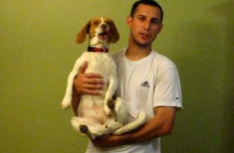 Bailey, il cane che sa fingersi morto a comando