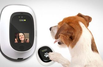 Video-chiamare il proprio cane potrebbe diventare realtà