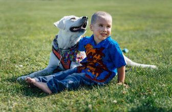 Lego: il Cane che protegge il suo padroncino Autistico