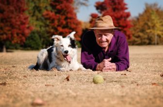 6 modi per rafforzare la relazione con il tuo cane