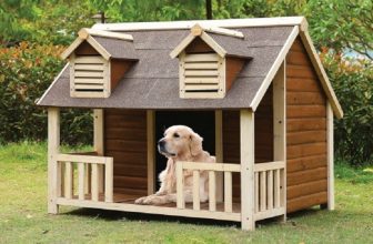 Il cane non vuole dormire nella cuccia