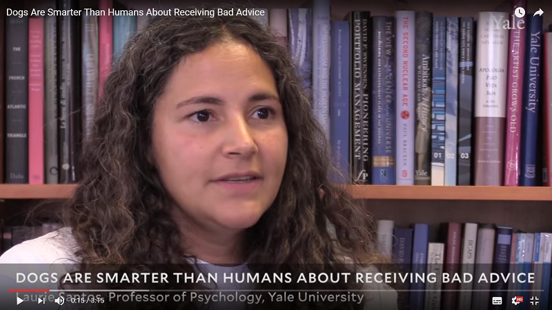 Studio: l’intelligenza dei cani nell’ignorare cattivi consigli