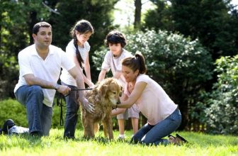 Il Cane entra a Scuola: progetto interessante per i Bambini