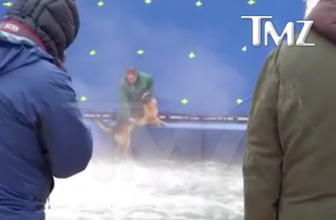 Maltrattamento di un cane sul set del film “Qua la Zampa!”