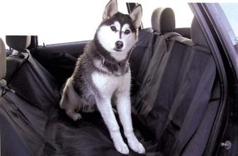 Coprisedile auto per il cane: funziona? Tutte le Informazioni Utili