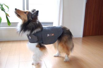 Thundershirt: la pettorina anti-ansia per il cane