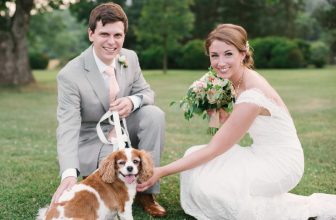 All’altare con il cane: il prete la caccia in malo modo