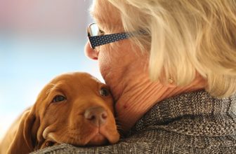 In terapia intensiva con il Cane. I medici: “è terapeutico”