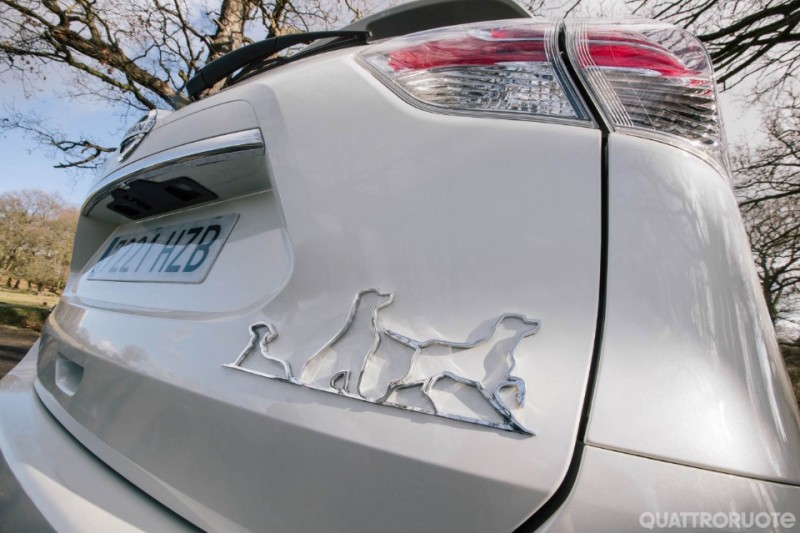 Un’auto pensata per chi ha un cane